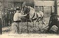 Descente d'un cheval dans la mine (1)