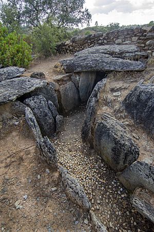 Archivo:Dolmen El Pozuelo 6 (48730953712)