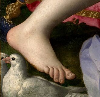 Archivo:Foot detail from Venus, Cupid, Folly and Time by Agnolo Bronzino
