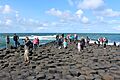 Giants Causeway looking northwards