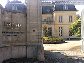 Insead - Blue Ocean Institute.jpg
