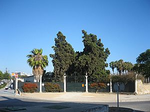 Archivo:Jardin botánico de la paz sanlúcar de barrameda
