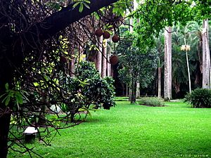 Archivo:Jardin botanico ccs