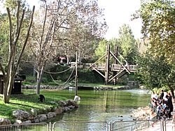 Jerusalem Zoo lake.jpg