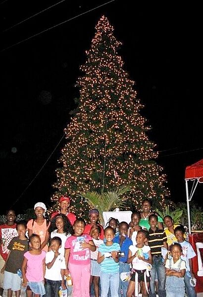 Kidstree