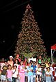 Kidstree