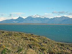 Archivo:LagoArgentino