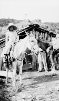 Archivo:Mary Agnes Chase Collecting Plants, Brazil, Image ID 96-548