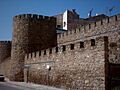 Muralla plasencia