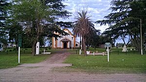 Archivo:Paraisooo