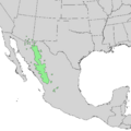 Pinus engelmannii range map 1