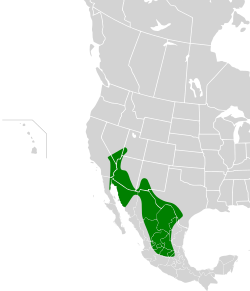 Distribución geográfica de la perlita colinegra.
