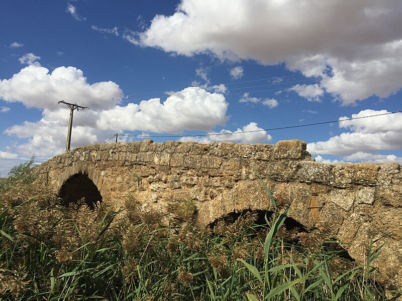 Puente Romana Becilla de Valderaduey