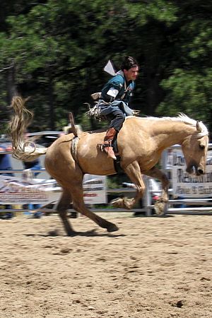 Archivo:Rodeo rider 1