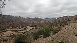 Ruta Nacional 5 20240708 082847.jpg