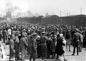 Archivo:Selection Birkenau ramp
