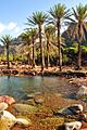 Socotra - panoramio - blackseav
