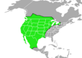 Sturnella neglecta-Map