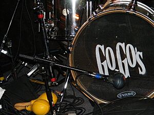 Archivo:The Go-Gos - drum with logo
