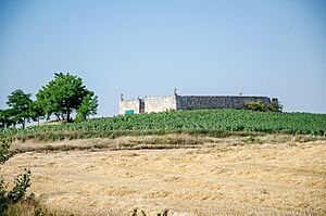 Archivo:Villusto-cementerio-antigua-iglesia-de-san-martin-julio-2019