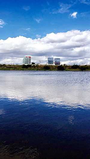 Archivo:Vista del lago de Centro Sur en Querétaro