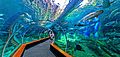17. Dezember 2017 Eröffung des Aquariums Poema del Mar. 34