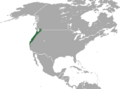 American Shrew Mole area