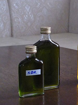 Archivo:An experimental batch of hemp oil produced in Buryatia in bottles