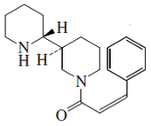 Astrophylline.png