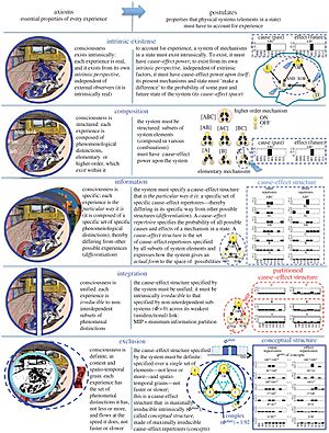 Archivo:Axioms and postulates of integrated information theory