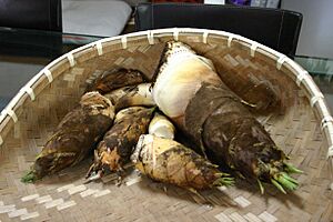Archivo:Bamboo sprouts in basket