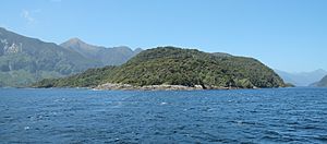 Archivo:Bauza Island in Doubtful Sound