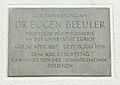 Bleuler Tafel