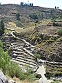 Camino inca tarata