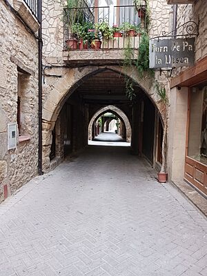 Archivo:Carrer del Centre de Batea.