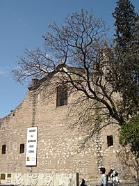 Archivo:Catedral de Cordoba Atras