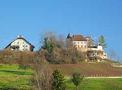 Château de Bavois.jpg