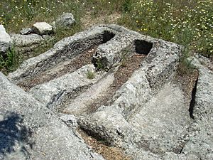 Archivo:Colmenar Viejo tumbas visigoticas