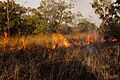Comoe Savannah fire