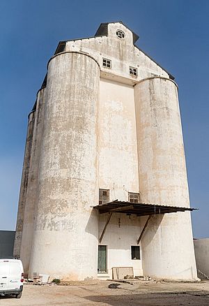 Archivo:Corral de Almaguer-silo cereal-(DavidDaguerro)