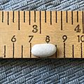 Dried sorana bean on a ruler showing inches and centimeters