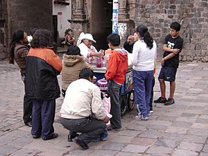 Archivo:Emolientera Cusco 02012009