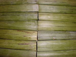 Archivo:Espasol rolls in banana leaves