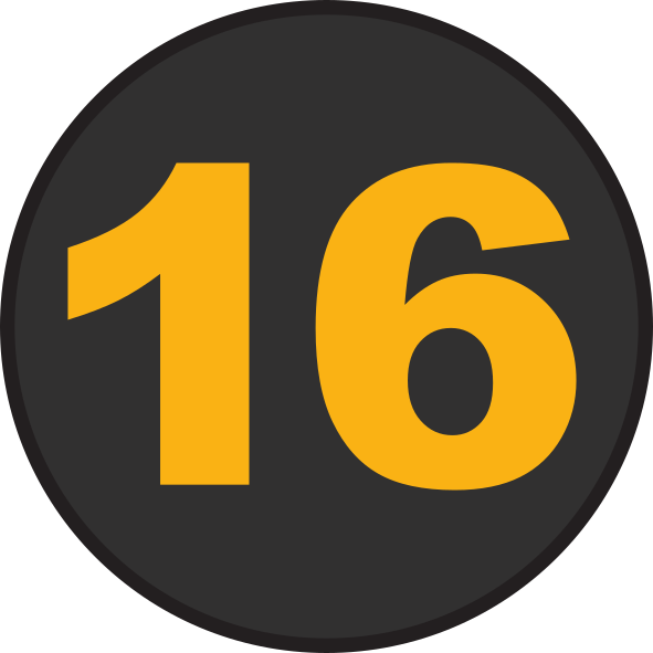FI-16 (2016)