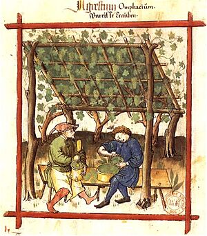 Archivo:Fabrication du verjus BnF Latin 9333 fol. 83