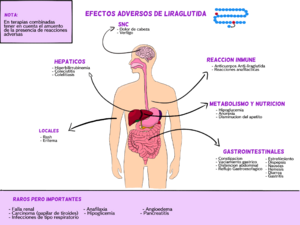 Archivo:Farmaco