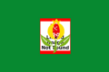 Flag of Granada (Cundinamarca)