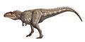 Giganotos Db