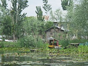 Archivo:Green surroundings at the Dal Lake in Sri Nagar