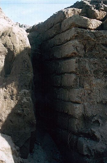 Archivo:Hallazgo muro enterrado, Septiembre de 2002, en faldeos cerro Mariman de Negrete, 2